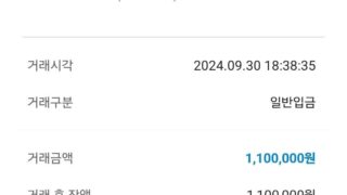 비대면으로 가능