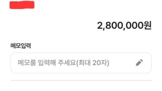 두대 진행한 후기
