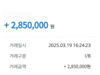 당일진행 잘했습니다