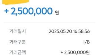 입금빨라요