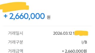 대납 후기.